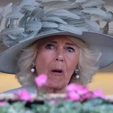 Königin Camilla: "Crown"-Star kommt zu ihrem Literaturabend