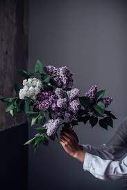 Pin By Ellen Sackoff On Flowers Lilac Bouquet Flowers Bouquet Flower Lover