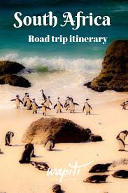 Don T Miss The Most Memorable South Africa Itinerary In 2 Weeks Africa Itinerary South Africa Itinerary South Africa Travel