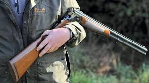 Battue sanglier tir de deux sangliers hd. Corse Du Sud Un Homme Meurt Dans Un Accident De Chasse A Sollacaro La Roche Sur Yon Maville Com