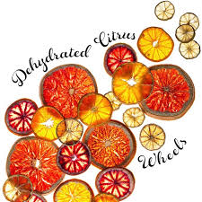 Best Of The Web Citrus Williams Sonoma Taste Dehydrator Cocktail Garnish Citrus