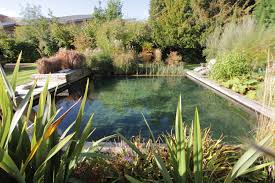 Natural Swimming Pool Design