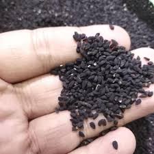 Kandungan yang ada di dalam jintan terdapat antioksidan yang tinggi sehingga dapat menangkal radikal bebas. Whs Habbatussauda Syria Biji Super Jinten Hitam 100 Gram Terbaru Agustus 2021 Harga Murah Kualitas Terjamin Blibli