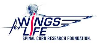 On one day each year, the wings for life world run takes place at event locations across the planet. 3 5 2019 Wings For Life World Run Lauftreff Fn