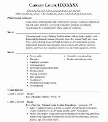 69 For Auditor Resume Samples Resume Format
