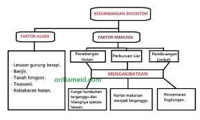 Pembelajaran 6 yang mulai dari halaman 131 sampai 134, merupakan materi subtema 3 indahnya persatuan dan kesatuan negeriku, tema 7 indahnya keragaman di negeriku. Kunci Jawaban Tema 5 Kelas 5 Halaman 132 133 137 Pembelajaran 5 Subtema 3 Keseimbangan Ekosistem Buku Tematik