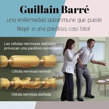 Barre syndrome as a cause of acute flaccid. Grupo Apoyo Sindrome Guillain Barre Republica Dominicana Photos Facebook