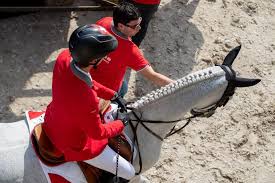 Martin fuchs lebt für den pferdesport und reitet bereits an der weltspitze mit. Martin Fuchs Facebook