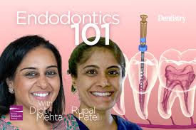 Dipti Mehta Archives