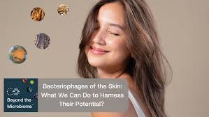 E. coli Explained: History and Characteristics of the Bacterium