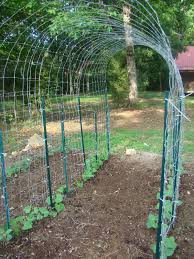 There are 109 metal plant supports for sale on etsy, and they cost $41.42 on average. Leaving Egypt Bean Tunnel Bean Trellis Vertical Vegetable Garden Garden Arches