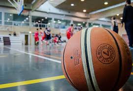 Brieftauben olympiade in posen 2019 nominiert: Basket Impresa Italia Batte La Serbia E Conquista Le Olimpiadi