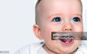 1.776 Purser Stock Photos, High-Res Pictures, and Images