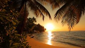 We did not find results for: Nice Sunset On Tropical Island Stock Footage Video 100 Royalty Free 711148 Shutterstock