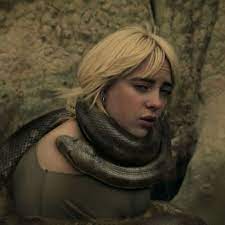 Billie eilish pirate baird o'connell (b. Nghdi0yit0mf6m
