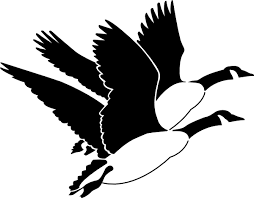 Black And White Goose Silhouette Geese Clip Art Clipart Best Silhouette Art Fly Drawing Art