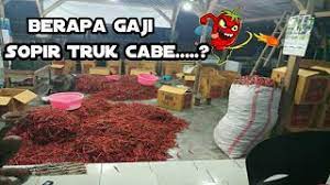 Beginilah truck cabe start dari jember tujuan palembang. Gaji Sopir Truk Cabe Lansir Dari Lumajang Sampai Jakartaa Youtube