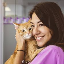 THE BEST 10 Veterinarians near DALLAS, TX 75243