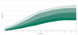 Cat age chart and calculator. Download Our Free Kitten Weight Chart Marsden Blog Marsden Scales