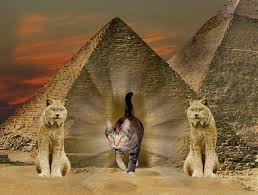 This was fun to read. Why Did Egyptians Worship Cats In Ancient Egypt Cats In Ancient Egypt Ancient Egypt Egypt