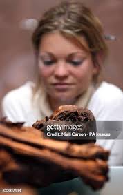 149 Omaha Museum Stock Photos, High-Res Pictures, and Images