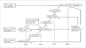 Algorithm For Recommended Use Of Glucarpidase In The Setting Mtx Download Scientific Diagram