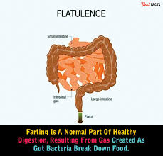 Image result for Flatulence