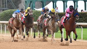 Pletcher, american pharoah, fisher named as 2021 inductees to hall. Kentucky Derby Futures Baffert S Loaded Lineup Trio Of Gulfstream Talents America S Best Racing