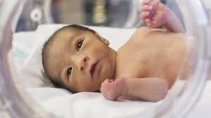 Tìm hiểu chi tiết về tình trạng 1 túi thai có 2 phôi thai