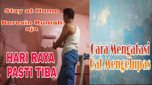 Tetapi itu bukan cara yang efisien dan hemat. 058 Cara Mengecat Ulang Dinding Lama Penyebab Cat Mengelupas Karya Kreatif Mengatasi Masalah Youtube