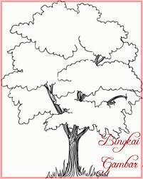 Check spelling or type a new query. Sketsa Gambar Pohon Radea