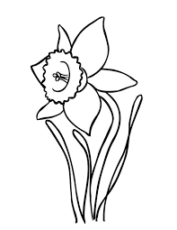 Find high quality daffodil coloring page, all coloring page images can be downloaded for free for personal use only. Daffodil Coloring Pages Best Coloring Pages For Kids