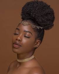 Pin On Natural Hair Styles