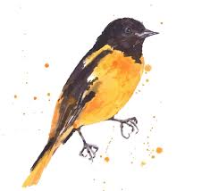 Birds That Look Like Baltimore Orioles Watercolor Baltimore Oriole Print Yellow Black By Eastwitching Watercolor Bird Watercolor Bird Tattoo Orioles Tattoo