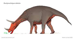 Image result for Brachystephanus