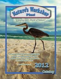 Add to collection(s) add to saved. Click Here To Download A Pdf File Natures Workshop Plus