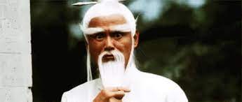 Sensei GIF - Sensei Beardflip Fabulous - Discover & Share GIFs