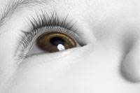 Également appelées zoonoses, les maladies de l'animal transmissibles à l'homme concernent tous. Maladies Des Yeux Troubles Vision Chez L Enfant Guide Vue