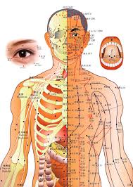 Acupuncture Chart Chinese Medicine Editorial Photography