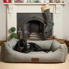 Check spelling or type a new query. Ivy Duke Distinctively Different Dog Beds
