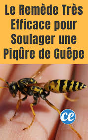 Epingle Sur Remedes Naturels