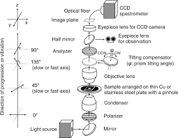 Image result for Polarized Microscopy
