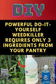 Powerful Do It Yourself Weedkiller Requires Only 3 Ingredients From Your Pantry Diy Life Hacks Hacks Diy Diy Life