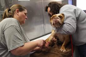 West Virginia governor announces 2022 Big Buck Photo Contest winners