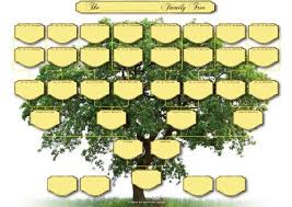 Family Tree Chart 5 Generations Amazon Co Uk My History