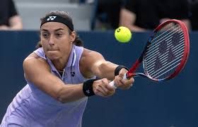 Image result for Kleinia garciana