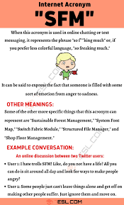 Sfm Meaning How To Use This Internet Acronym Sfm Correctly 7 E S L In 2020 Learn English Words English Lessons