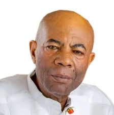 2023: Nepotism, Autocracy May Decide Bonny PDP Choice of Flag Bearers for  Assembly, Reps Positions