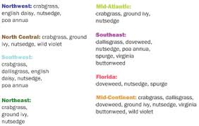 Pendimethalin is an herbicide of the dinitroaniline class used in premergence and postemergence applications to control annual grasses and certain broadleaf weeds. Watch List Lawn Landscape