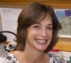 Second U.S. Ocean Acidification Principal Investigators' Meeting Gallaudet  University's Kellogg Conference